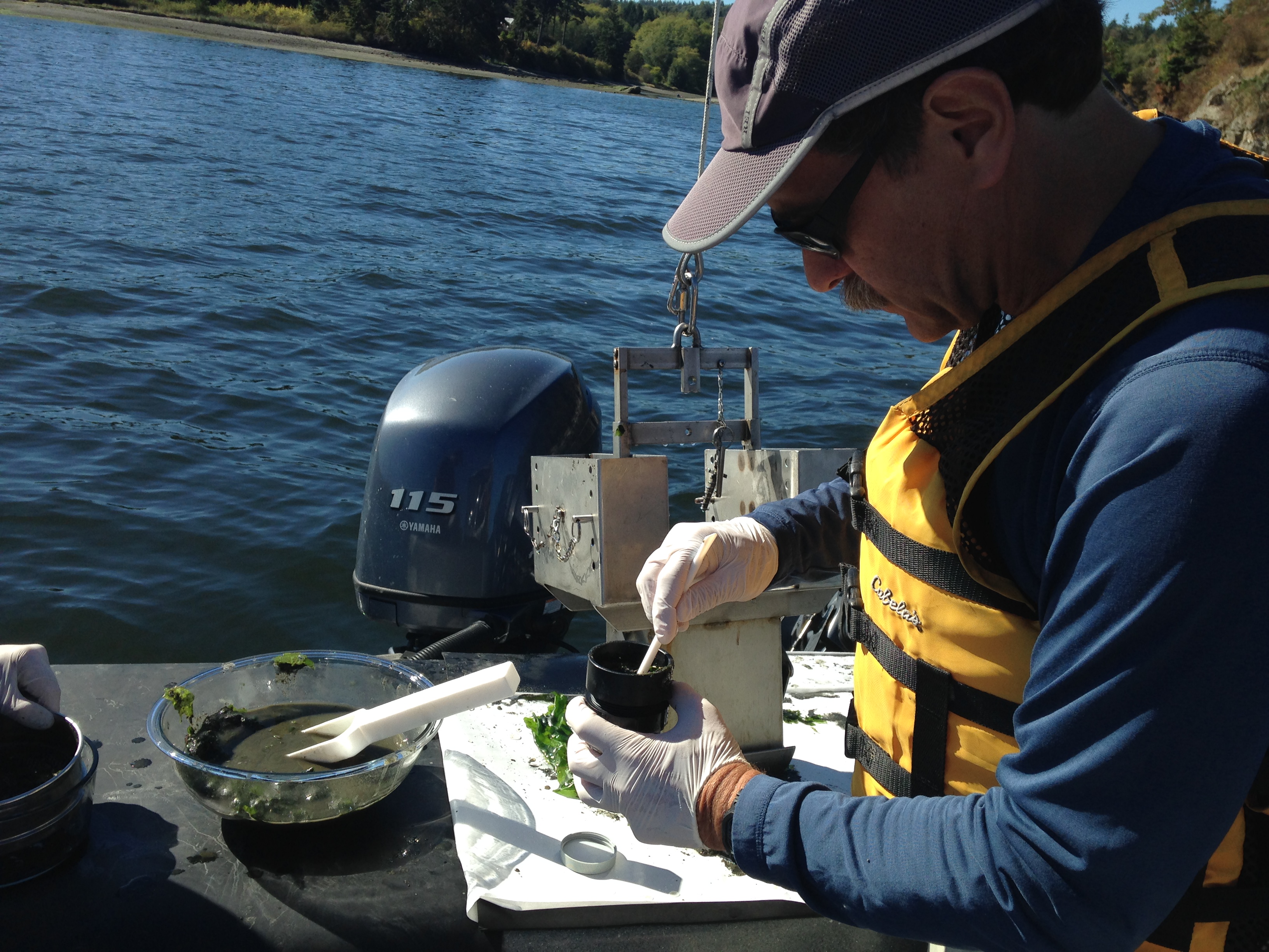 scientist on the back of a boat with a sediment sample in a bowl.