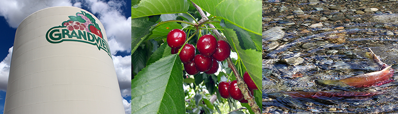 montage showing a water tower, cherries, and two sockeye salmon spawning