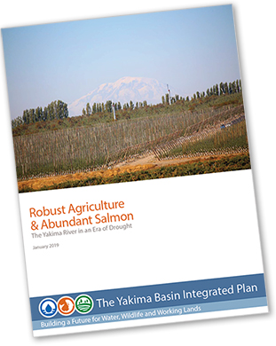 Graphic illustrates the cover of a Yakima Basin Integrated Plan report found in this tab: Robust Agriculture & Abundant Salmon