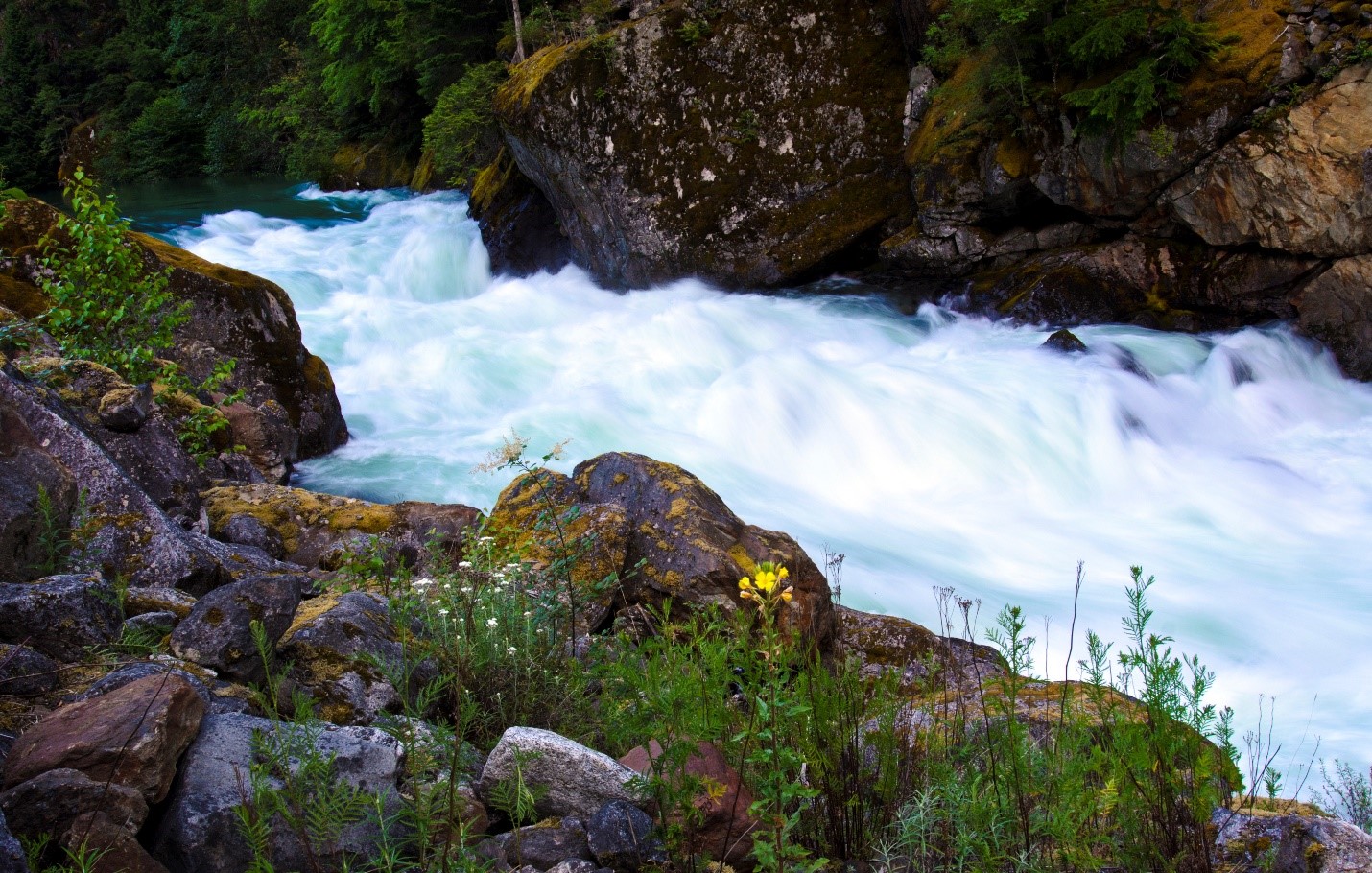 Skagit River flowing through rocks