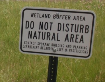 Wetland buffer sign saying not to disturb the natural area.