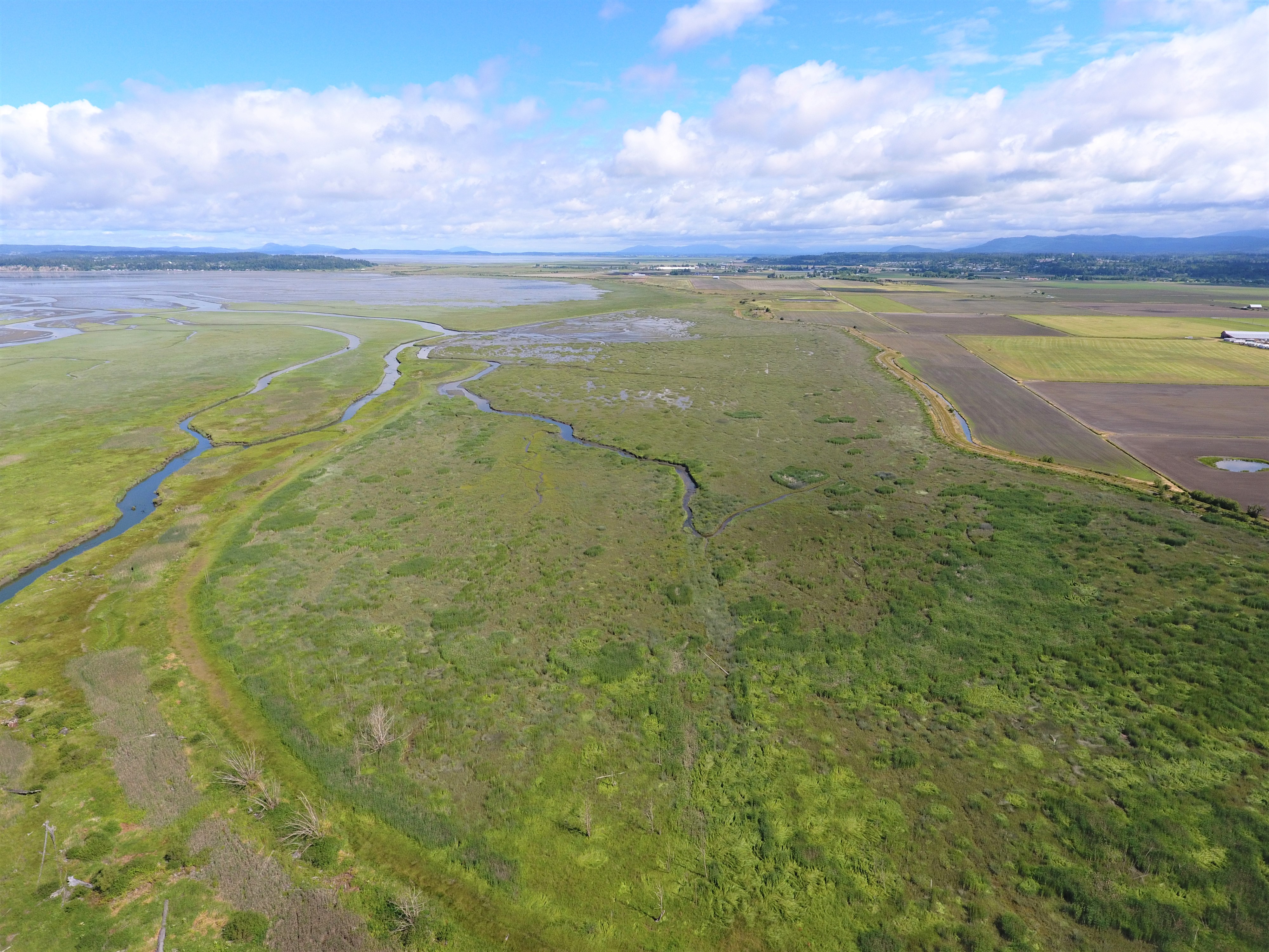 Aerial view of the Port Susan Bay Preserve tidal wetland/