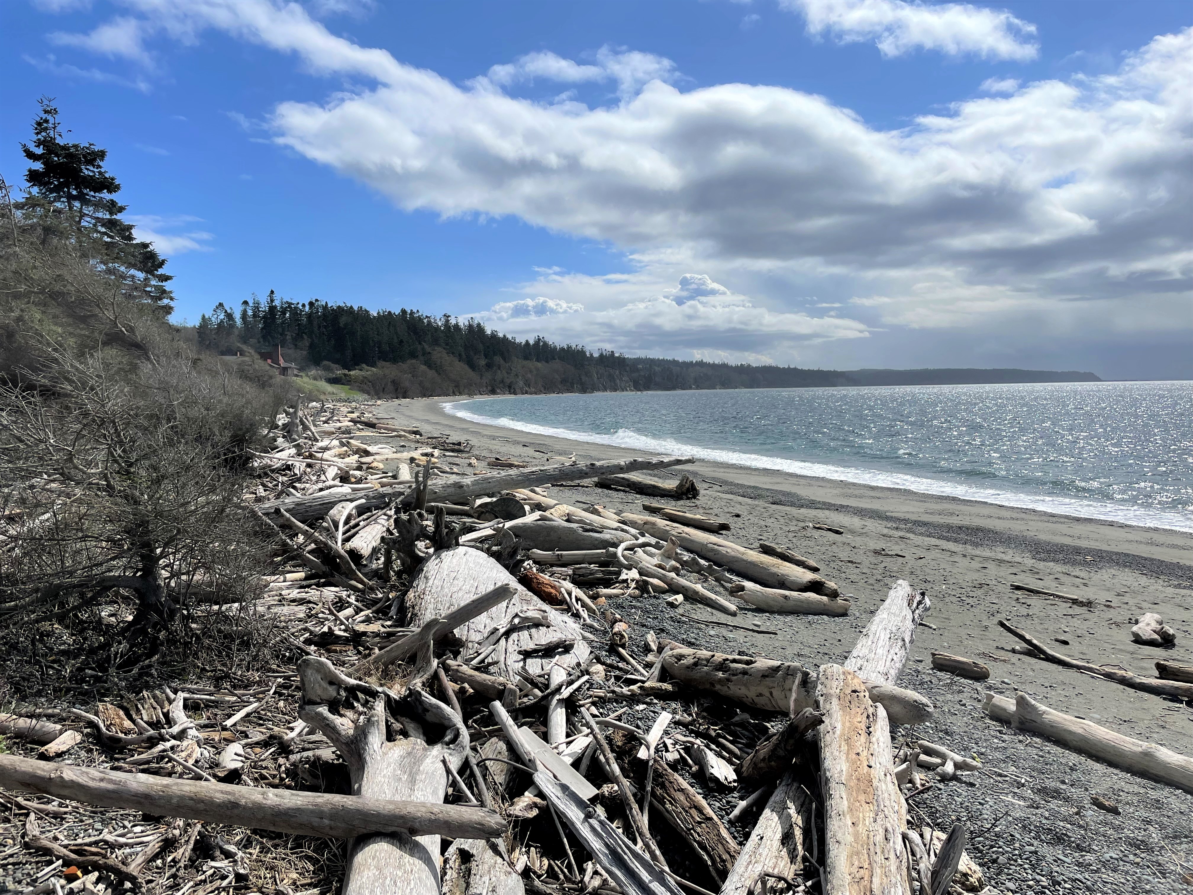 View of shoreline to the right and a driftwood-laden coast on the left along Admiralty Inlet on Whidbey Island.