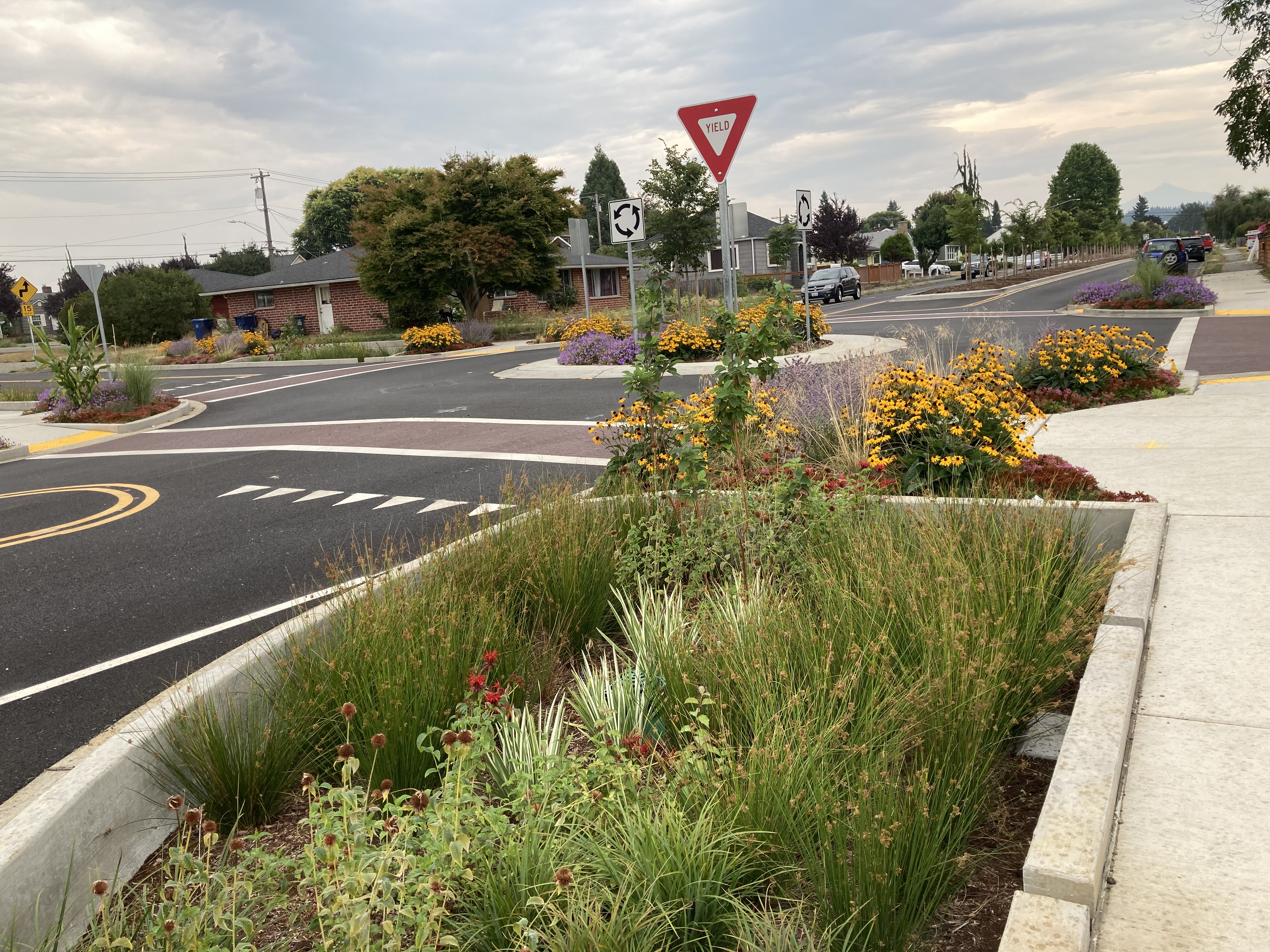 vegetation and flowers in sections next to road where stormwater can flow into 