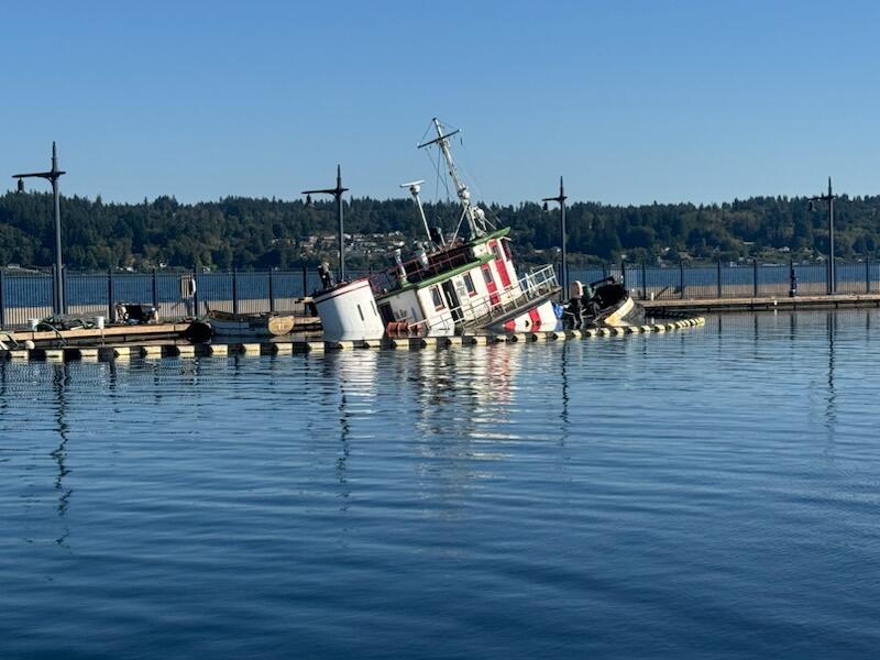 The Dominion tug sinking