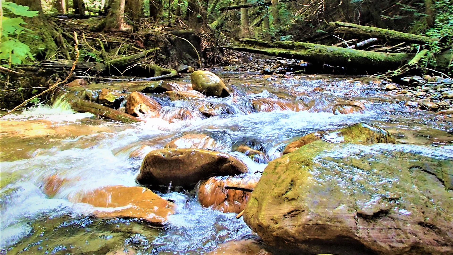 clean rocky stream