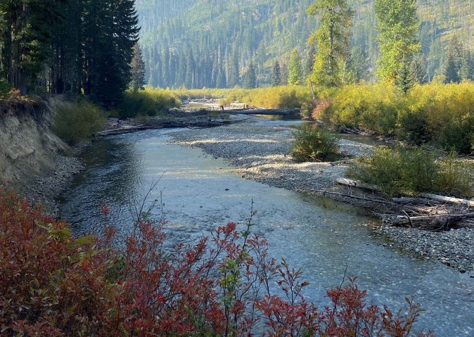 Flowing Chiwawa River with trees and shrubs on both sides of riverbank.
