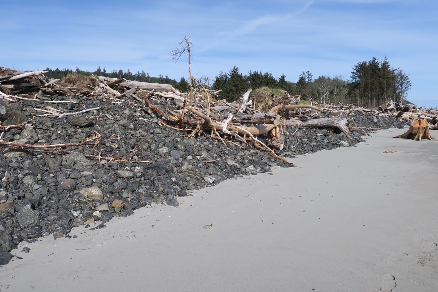 Beach with sandy foreshore backed by a mixed cobble and gravel berm interspersed with large woody debris.