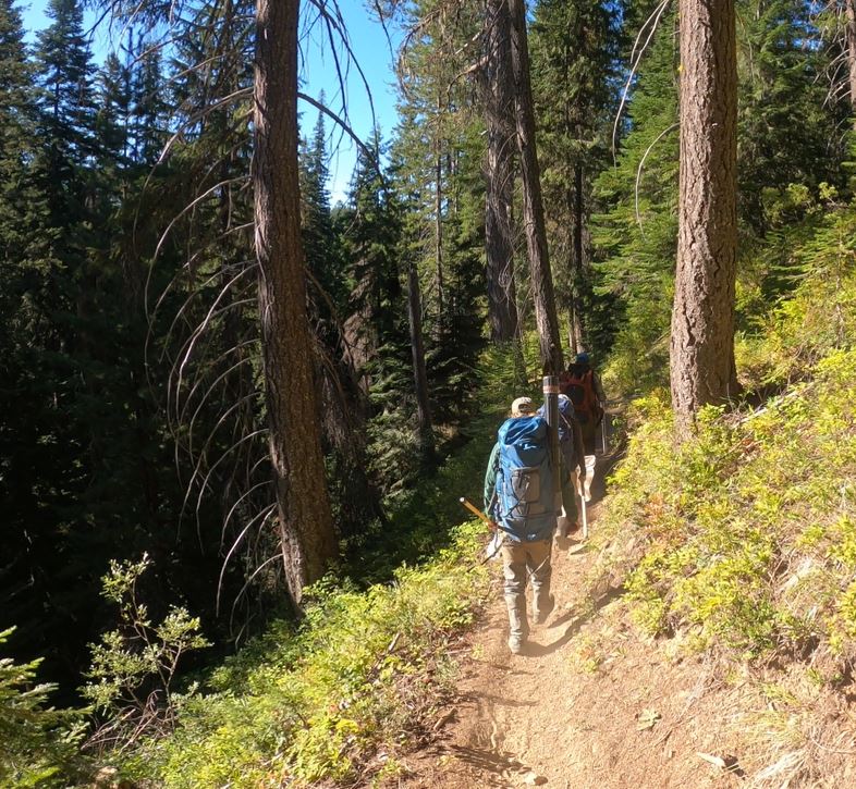 Three people walking on a trail carrying backpacks, nets, and rods