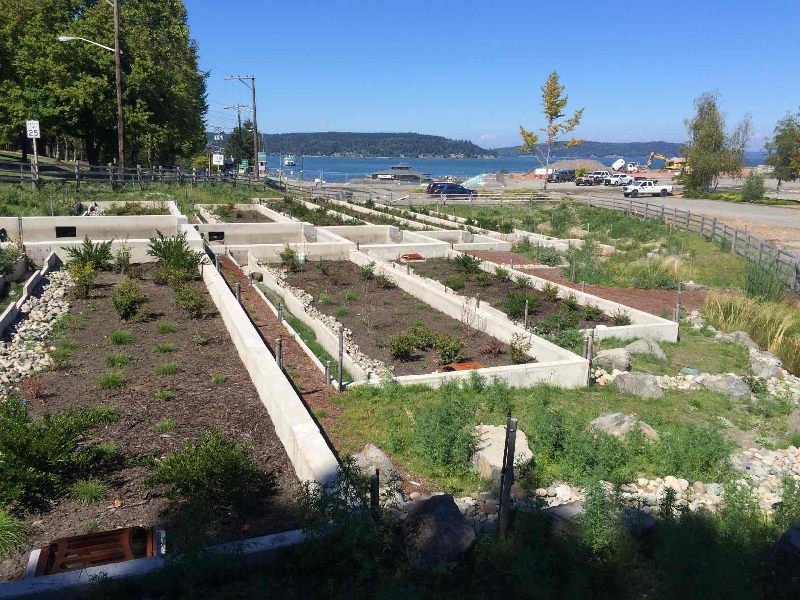 several new plants in concrete boxes flowing down hill