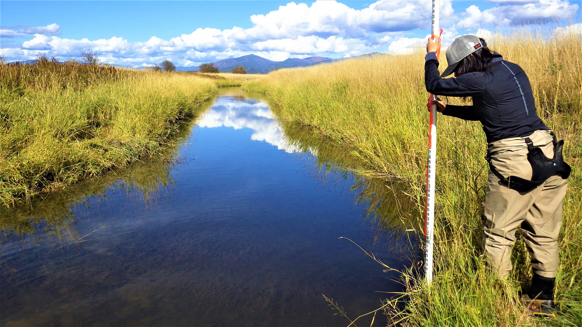 A crewmember with a stadia rod standing at the side of a beautiful creek.