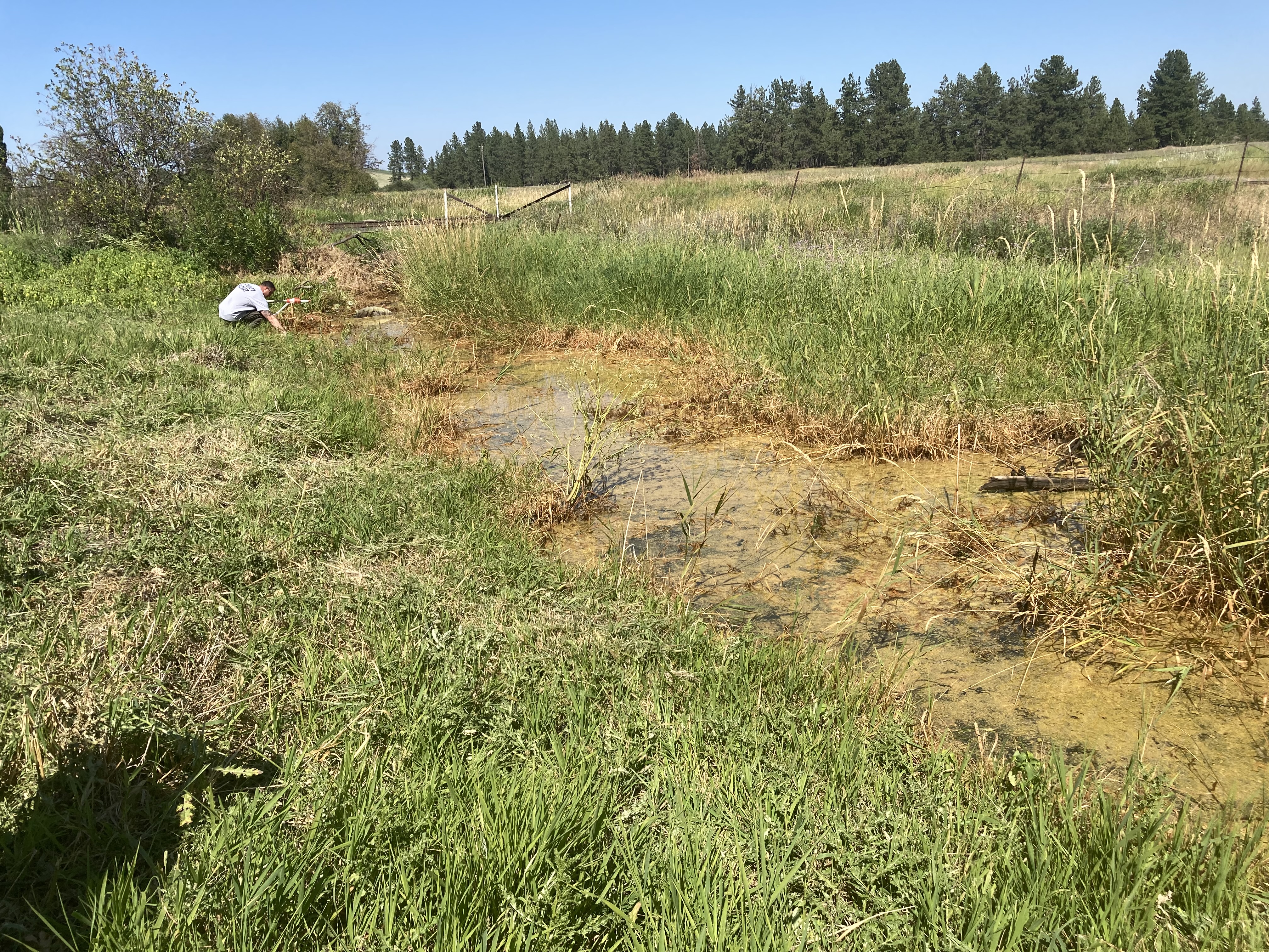 Minnie Creek diesel spill in Cheney, WA