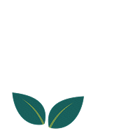 Illustration of a green plant stem just beginning to grow