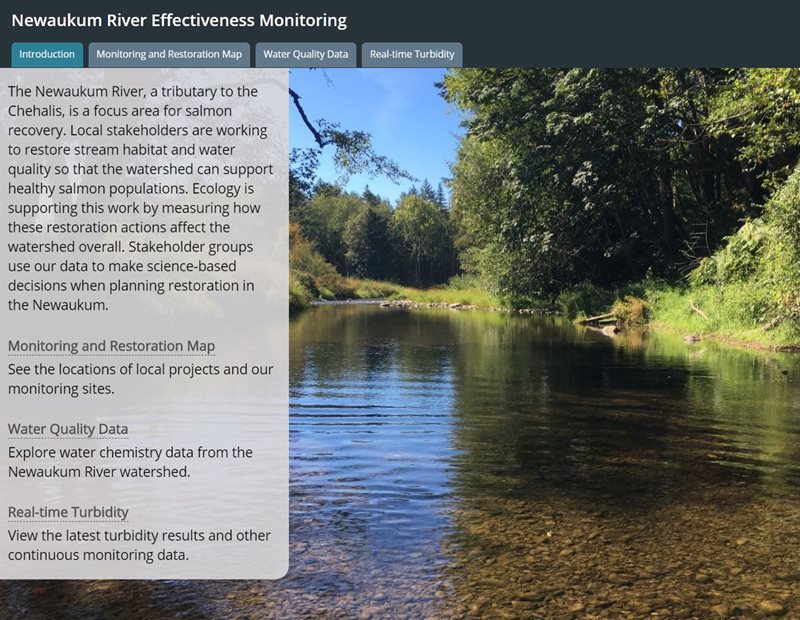 Story map that displays data from the Newaukum River effectiveness monitoring project. Text over the image says 