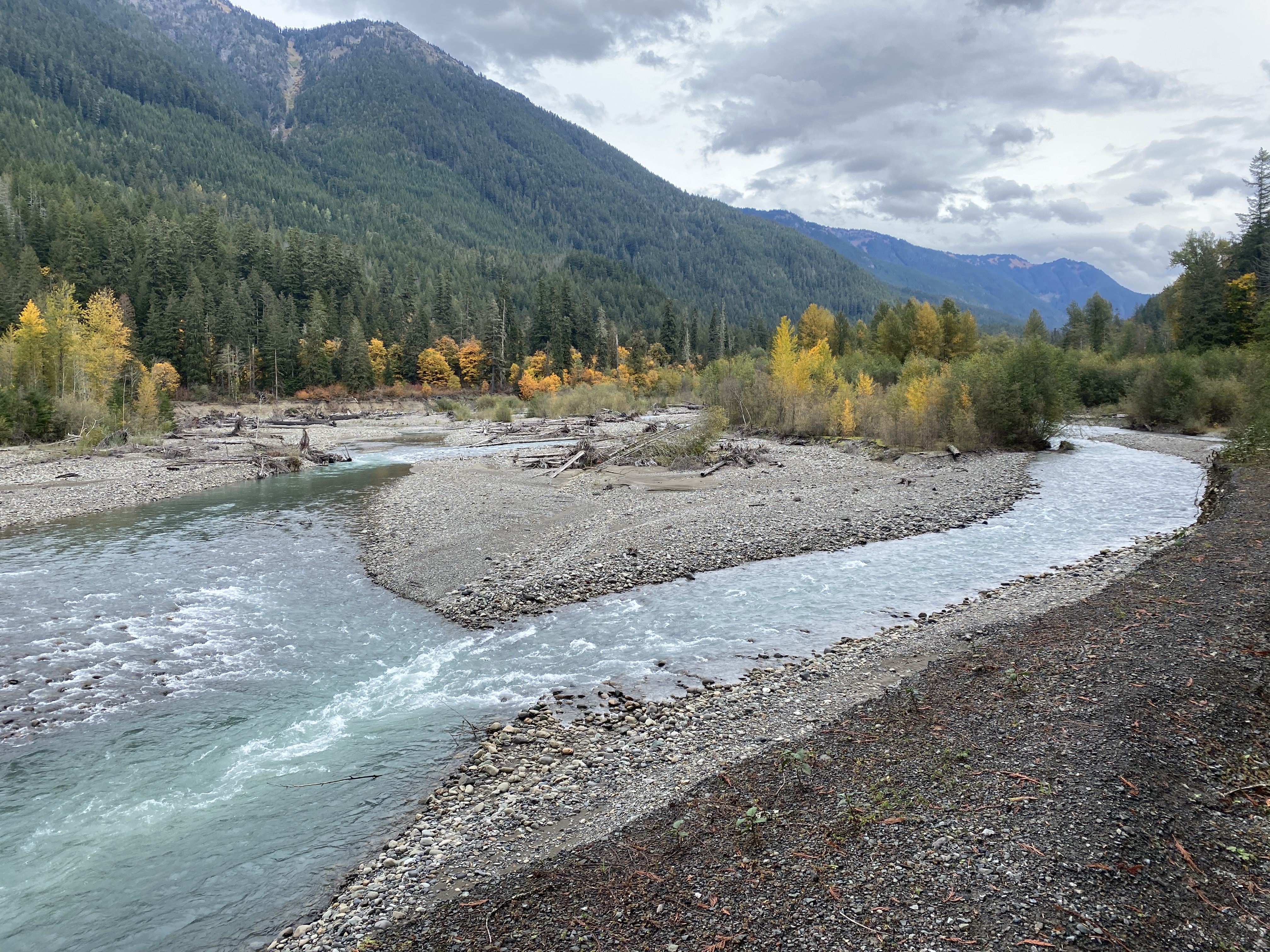 A picture of the Nooksack River in October of 2023 showcasing fall foliage