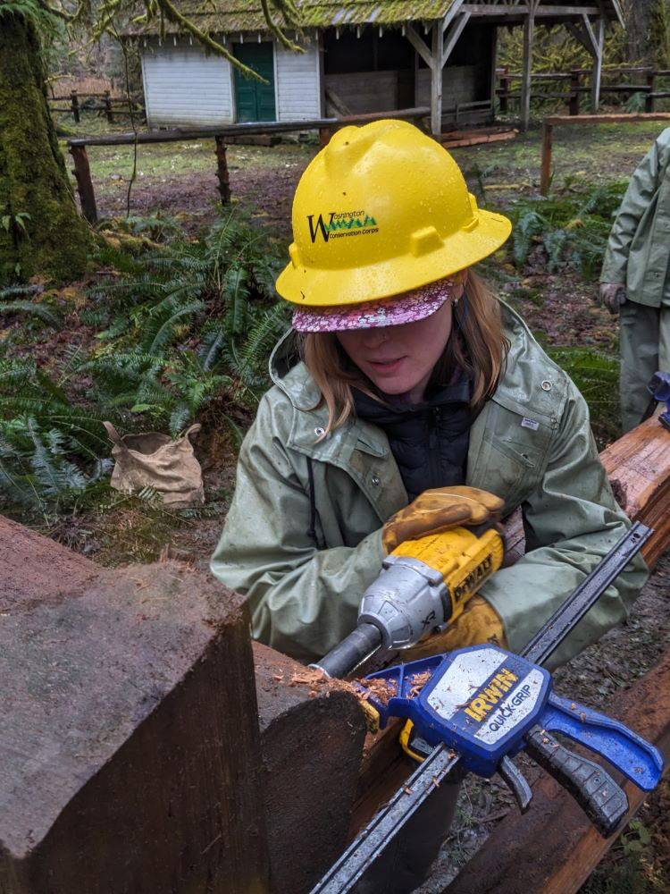A WCC member uses a power drill to attach a wooden rail to a fence post.