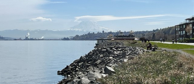 Rocks along the shoreline of Puget Sound near Ruston