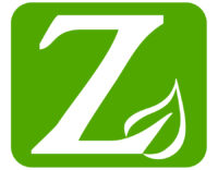 Green letter Z for Bainbridge Island Zero Waste logo