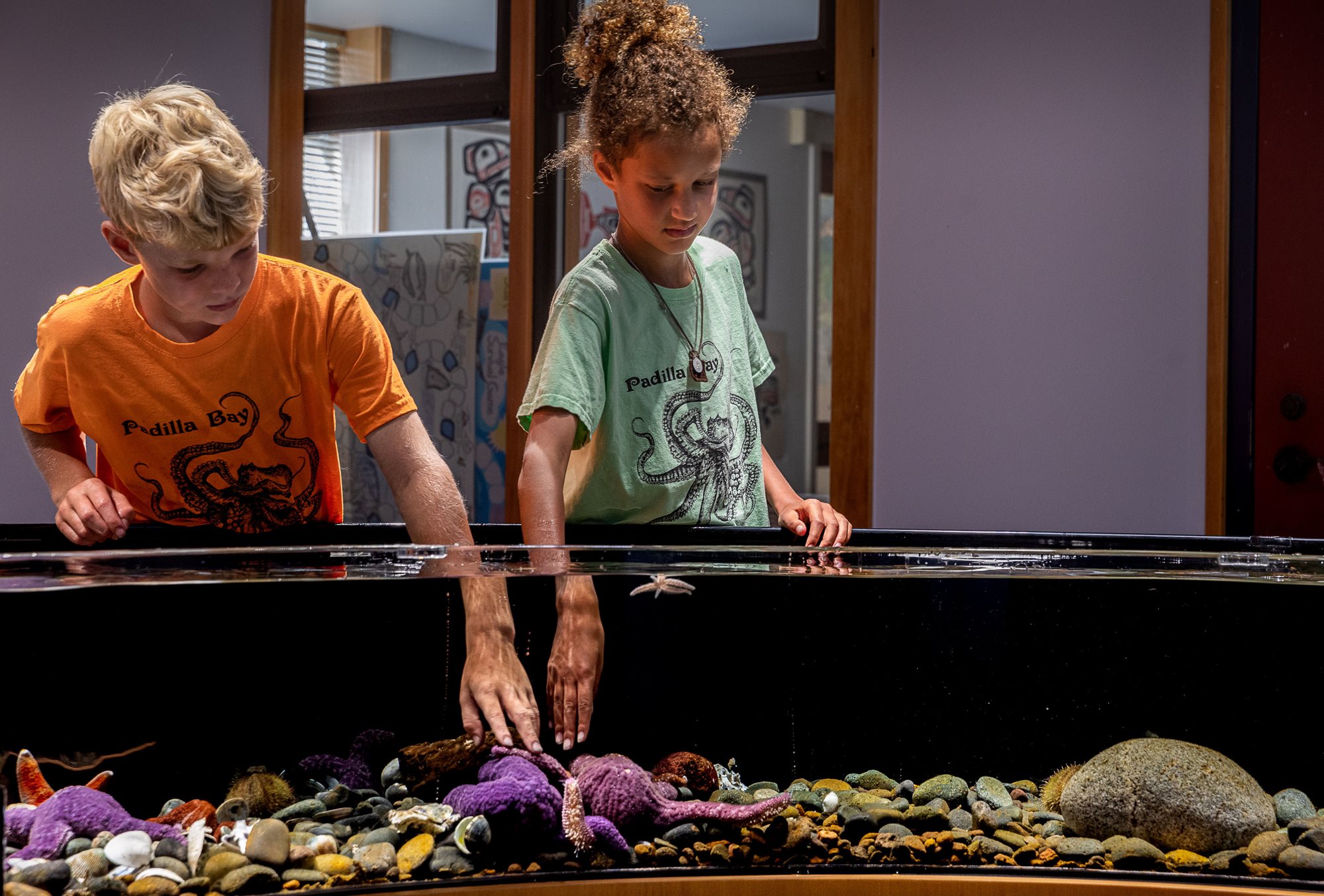 Boy with blonde hair and girl with brown hair touch sea stars in a touch tank