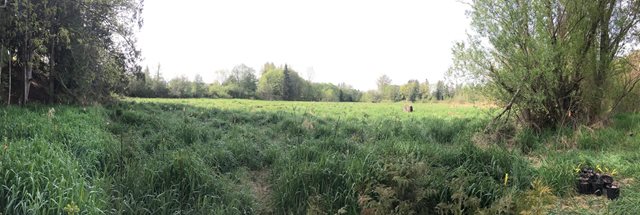 Panoramic view of a portion of Jennings Memorial Park. Grassy area in the middle. Potted plants are in the foreground ready to be planted. 