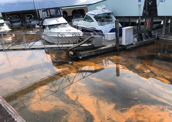 White boats parked in a marina surrounded by an orange noctiluca bloom
