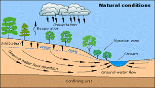 Illustrated cross-section of the water cycle, including groundwater flow, under natural conditions. Groundwater flows in roughly the same direction as surface flow. Precipitation infiltrates through the ground and recharges groundwater. Groundwater feeds a surface stream.