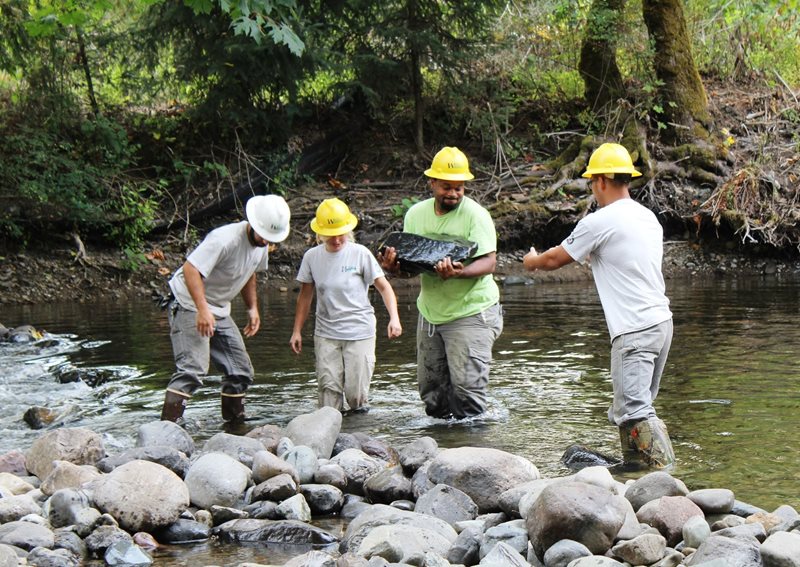 Four people wearing hard hats hand large rocks to each other to remove a small dam-like structure in the middle of a shallow river.