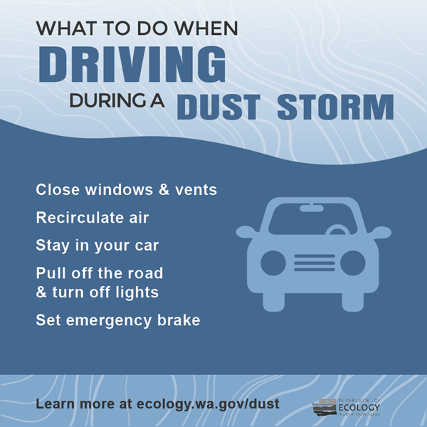 graphic of what to do when driving during a dust storm