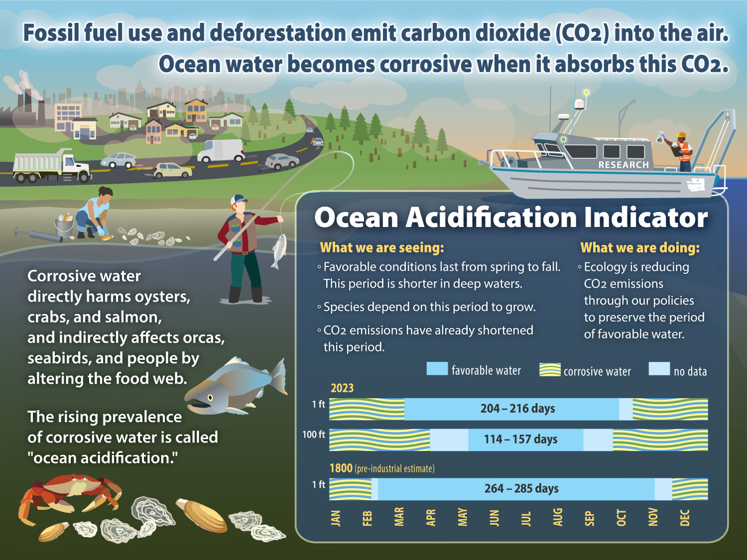 Carbon pollution is making the ocean more corrosive. Ecology data show water conditions are favorable from spring to summer and unfavorable from fall to winter. Favorable conditions have also declined since the early 1800s.