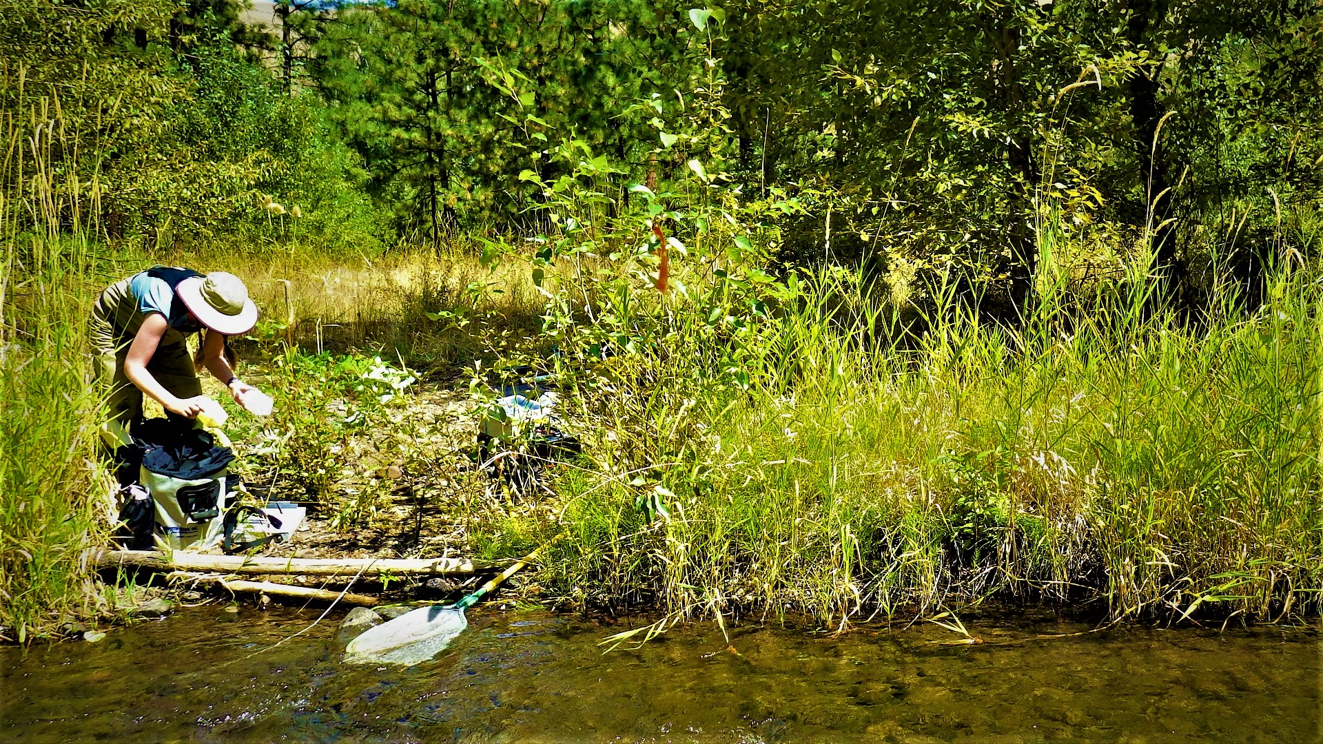 A person on the bank of a river preparing field gear