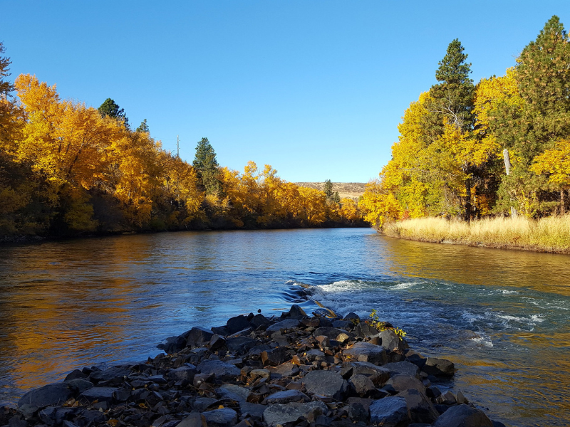 A river flows under a blue sky with yellow trees lining the banks.