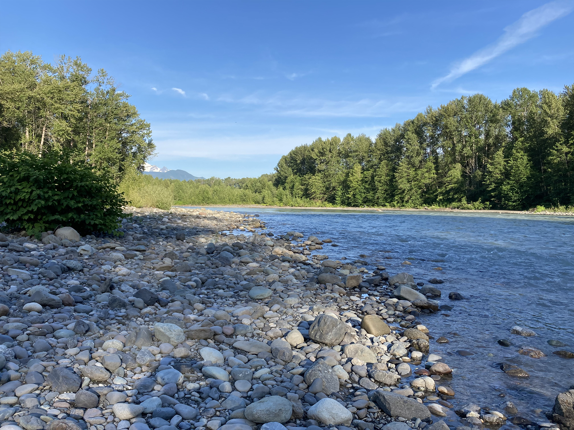 Nooksack river flowing past forested and rocky shores
