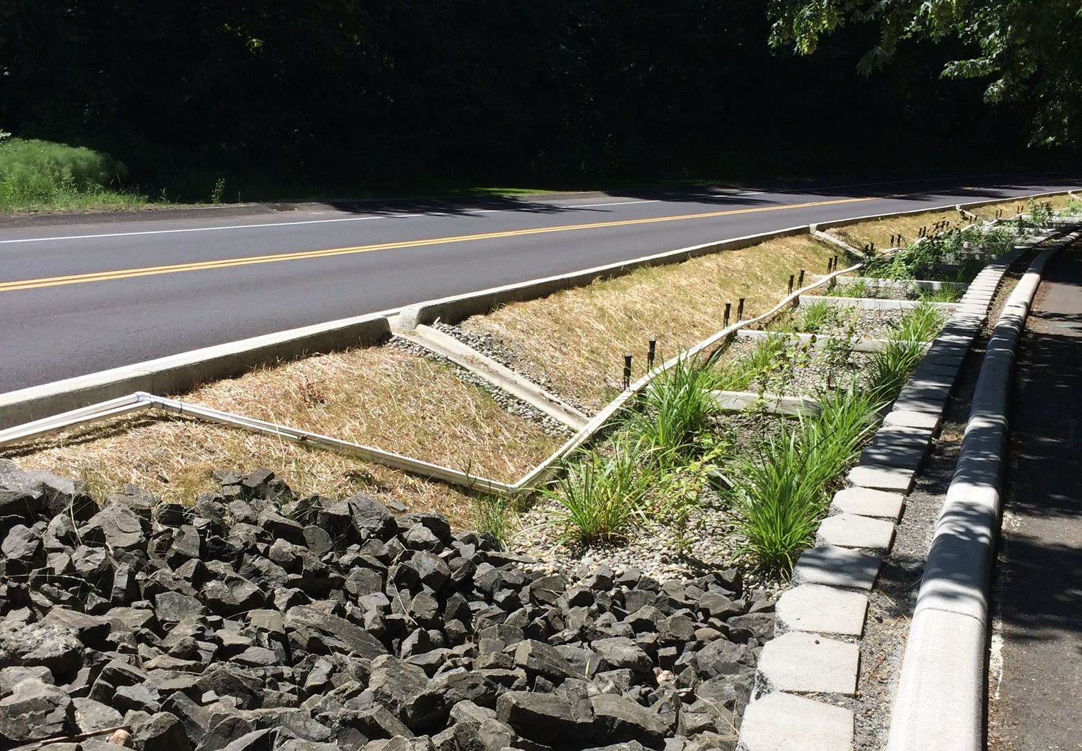 Stormwater system with channels of rocks, gravel and grasses next to an empty road. 
