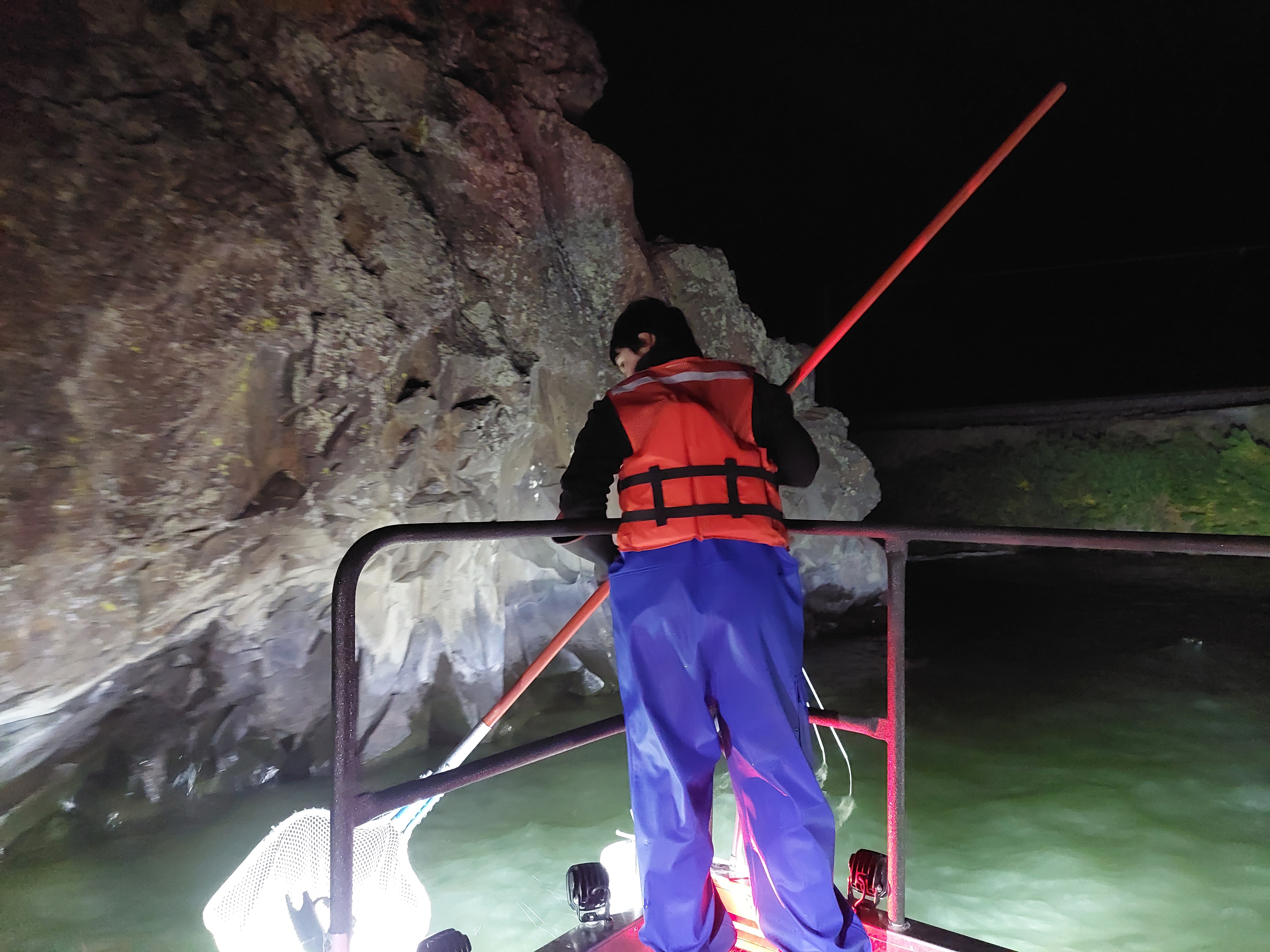 Scientist dip netting for fish off a boat at night