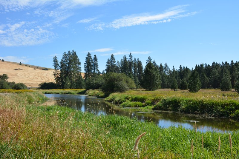 Hangman creek with blue skies and trees in the distance