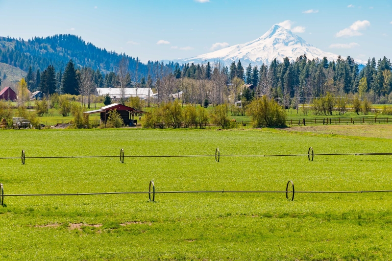 Supporting productive farms and clean water – Washington State Department of Ecology (.gov)