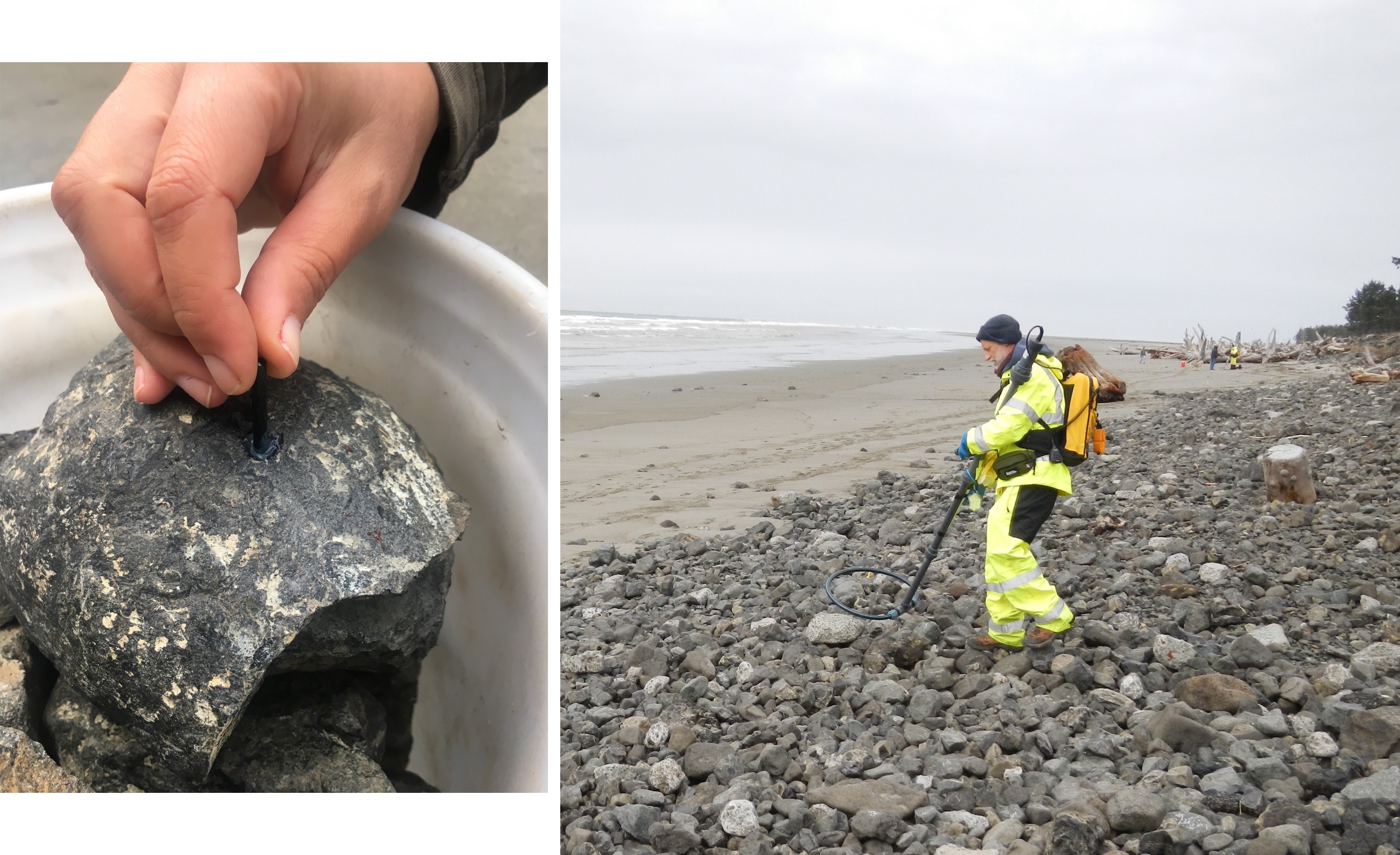 Tracking rocks tagged with radio frequency identification devices on cobble berm