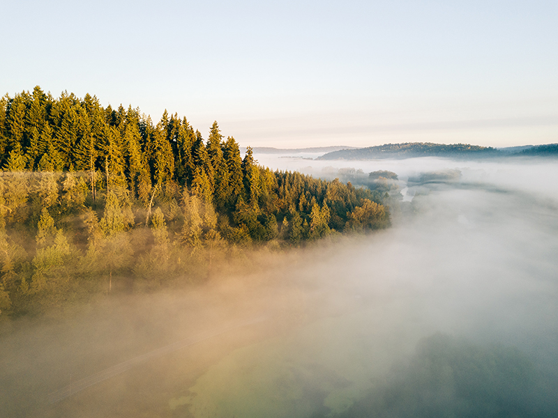 Aerial photo of a foggy morning with a river and evergreen forest