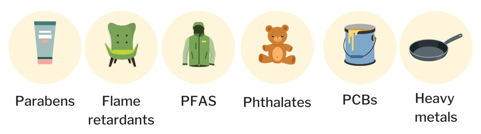 Chemicals depicted with icons are parabens, flame retardants, PFAS, phthalates, PCBs and heavy metals.
