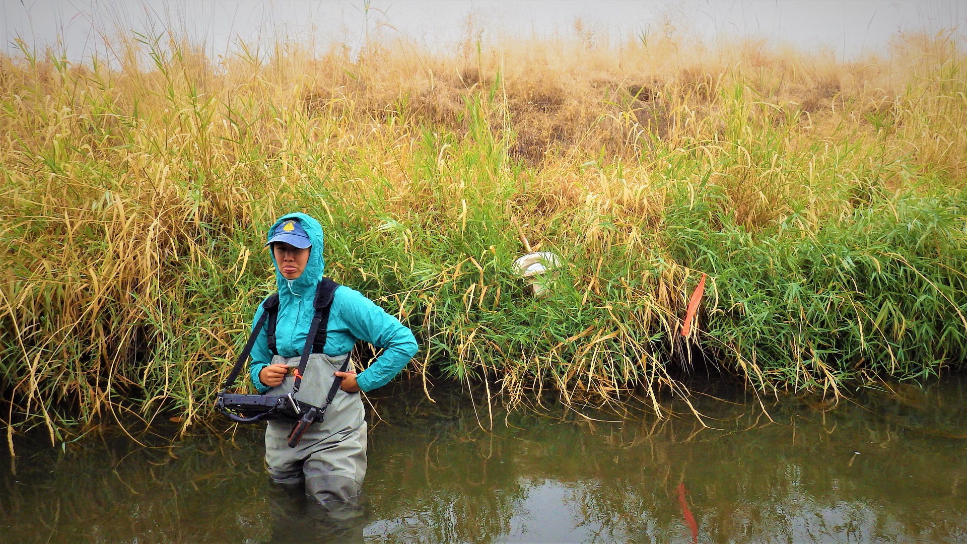 A crew member with a tablet in a large creek