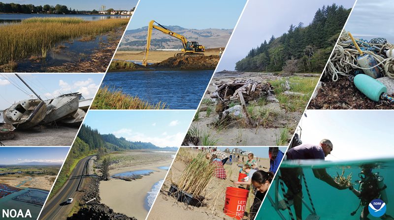 A collage of different coastal resilience-related project photos