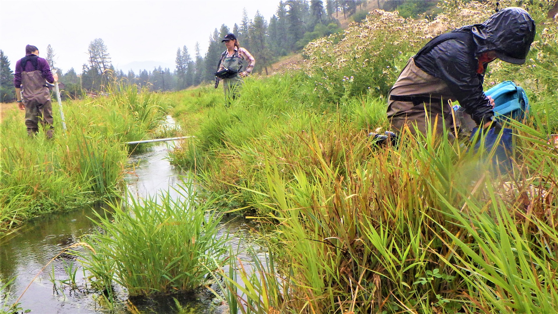 Two people with stadia rods and another with a live well to hold fish.