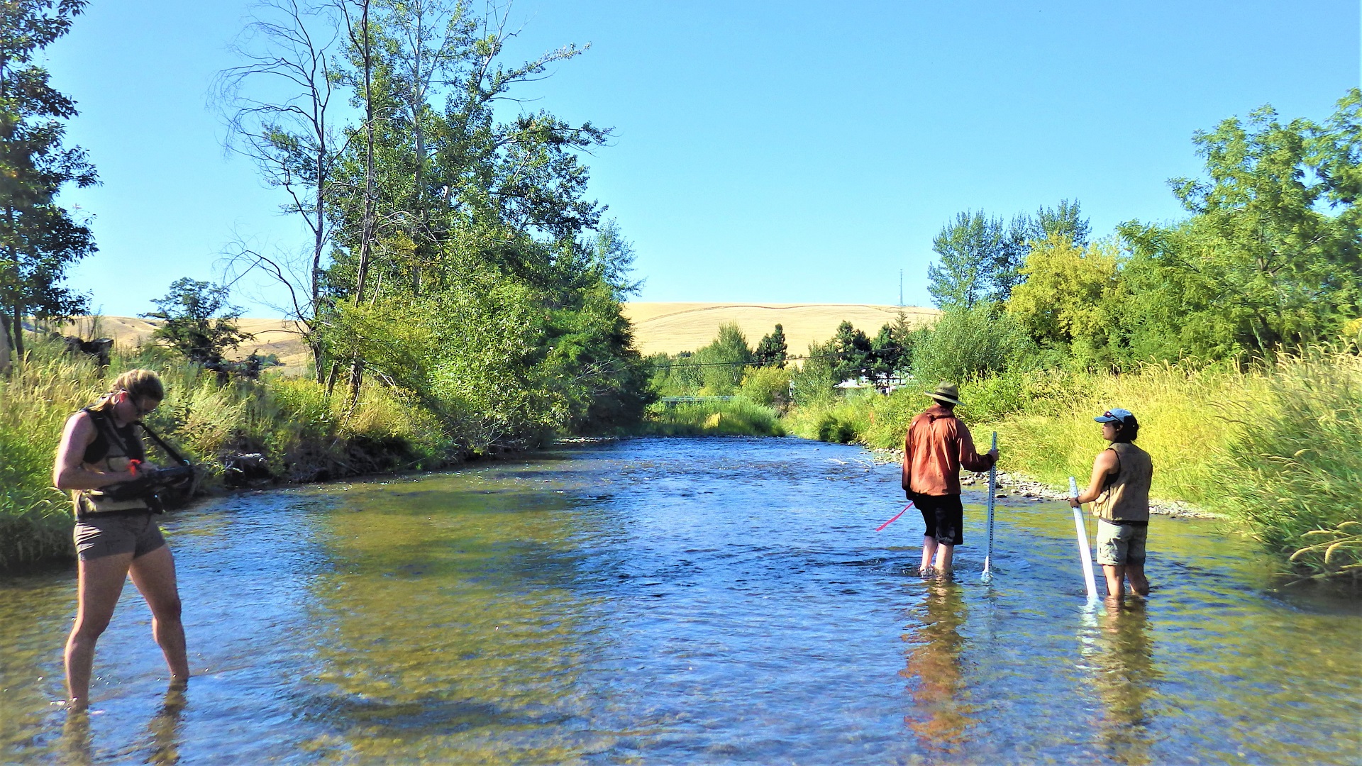 Three people in a river holding measuring rods and tablets