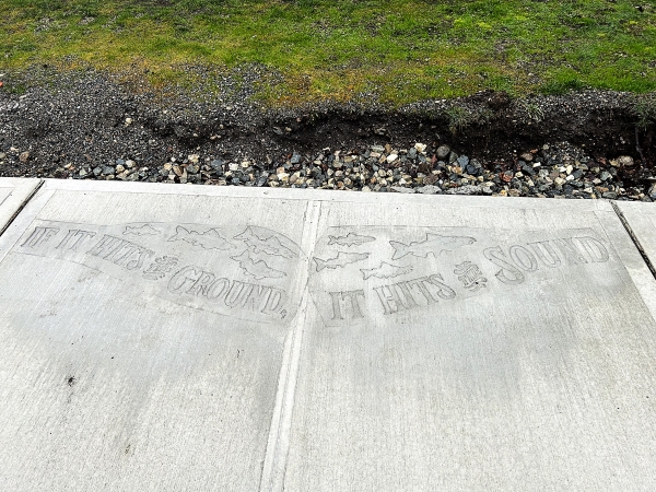 Newly paved sidewalk stamped with public artwork