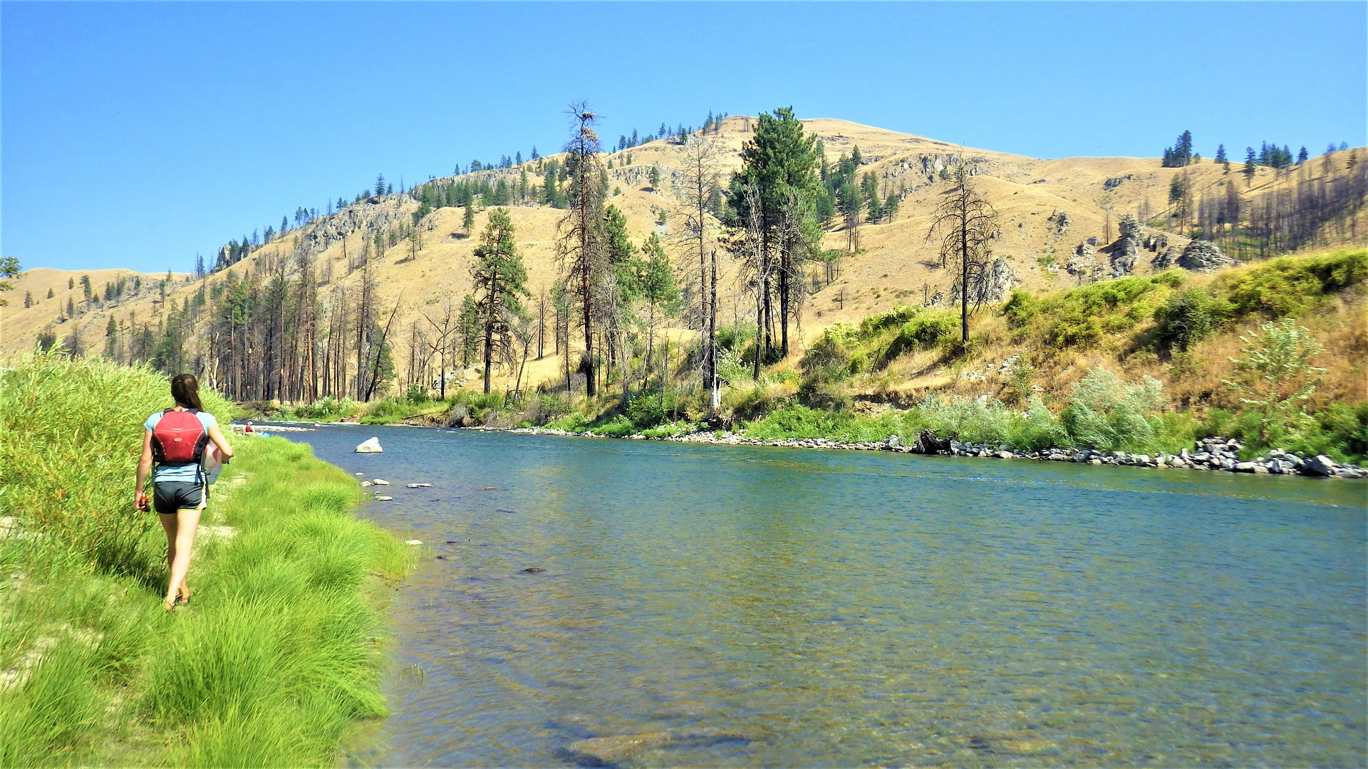 A person walking along the grassy bank of a wide river