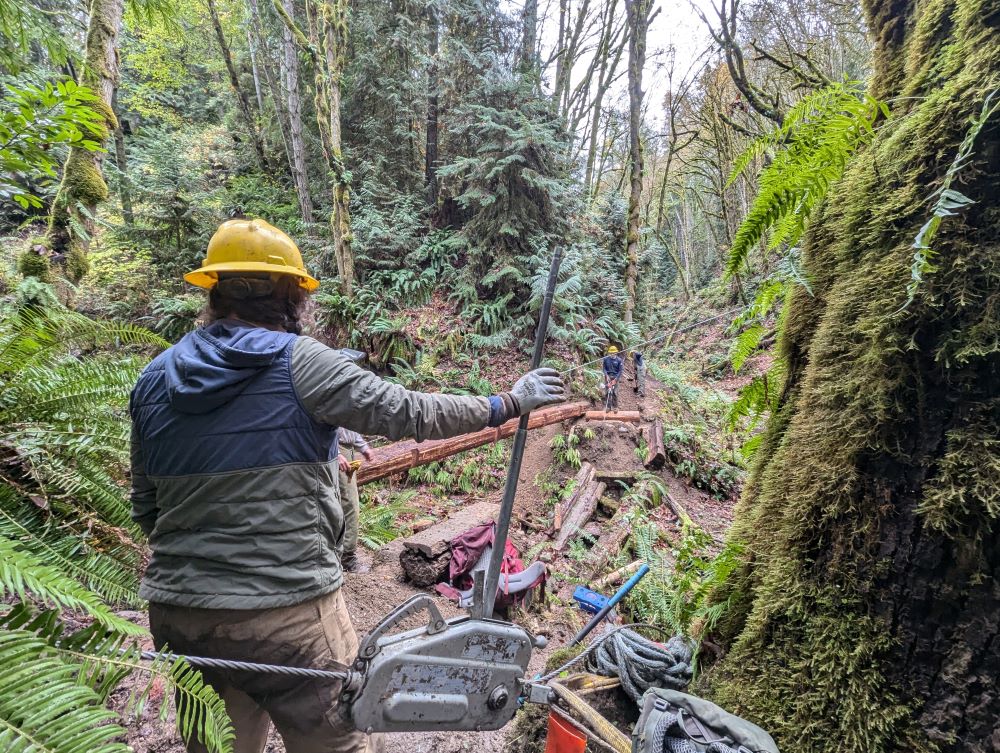 A WCC member holds a rigging apparatus while facing a forested ravine.