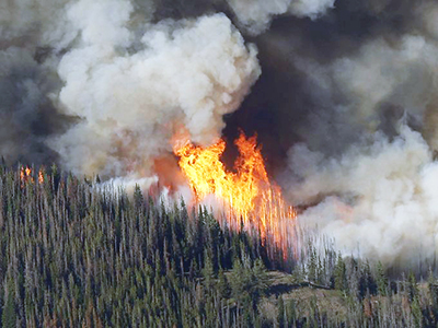 a wildfire in a forest with a lot of smoke