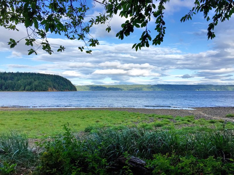 Puget Sound beach with grasses in the foreground, forested hills in the background