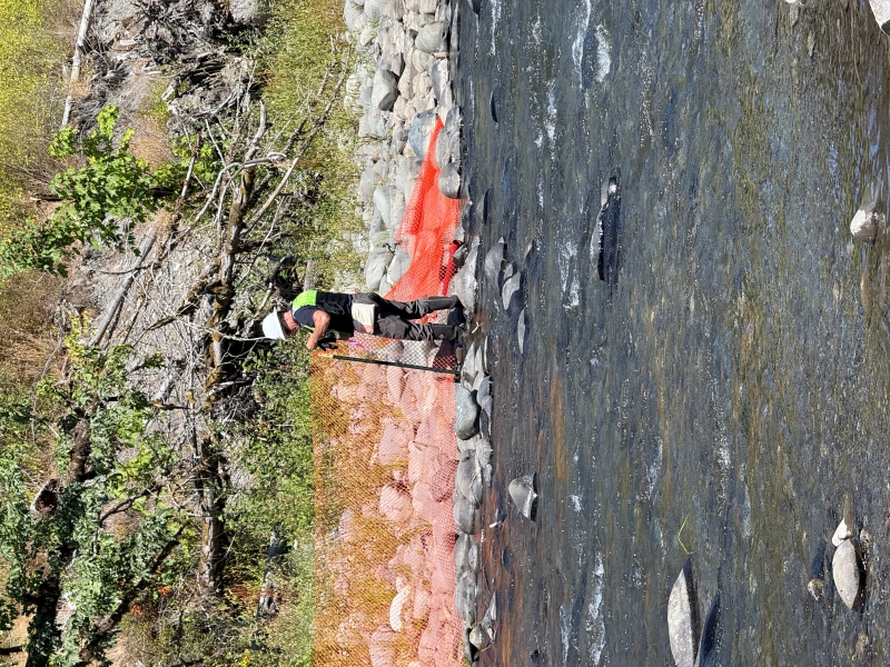 A man in an orange vest and hard hat installs orange fencing at the side of the river. 