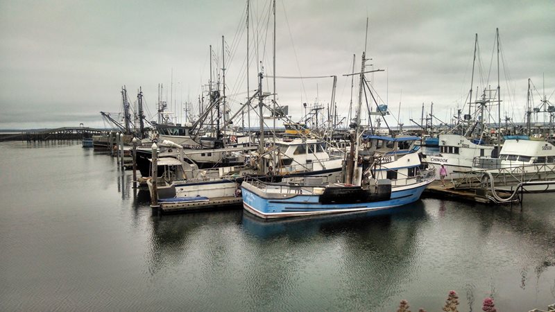 Boats in a marina, with calm water and gray skies